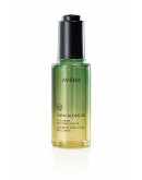 Aveda 純香奇蹟光澤護髮露 50ml Aveda 純香奇蹟光澤護髮露 50ml